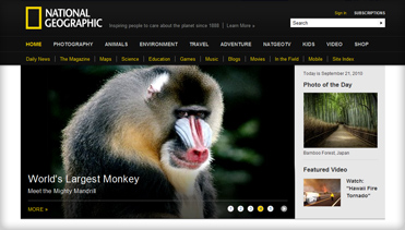 在线超级轰炸电话网页版